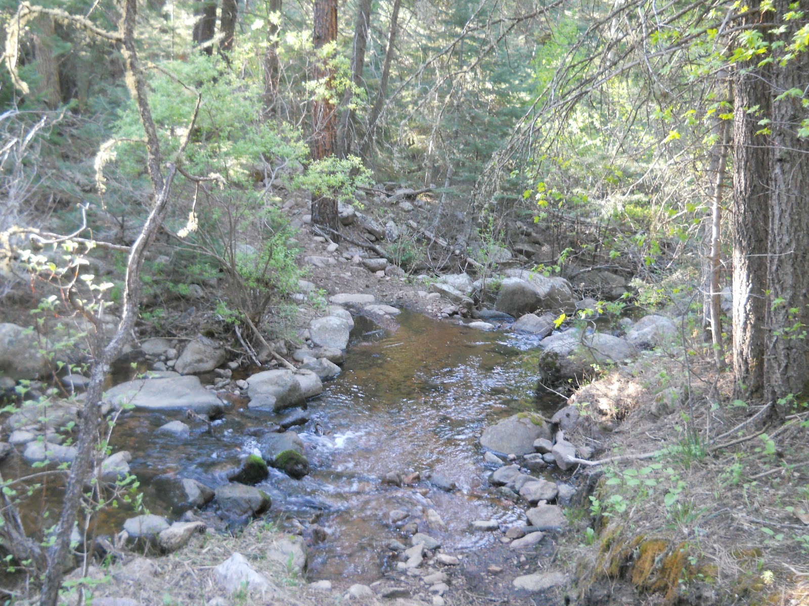 48 State Virtual Hike Squirrel Creek Trail Miles 720.0 to 728.7